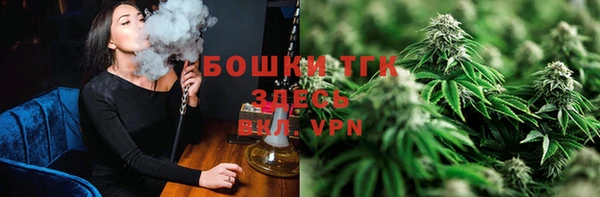 мдпв Дмитровск